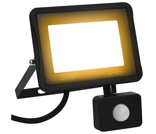 Led Prožektorius Su Jutikliu, Šiltos Baltos Spalvos, 30W