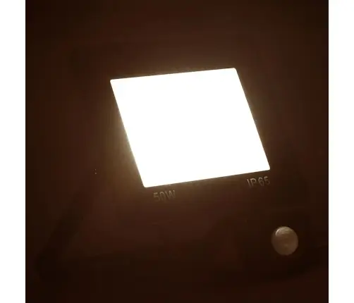 Led Prožektorius Su Jutikliu, Šiltos Baltos Spalvos, 50W