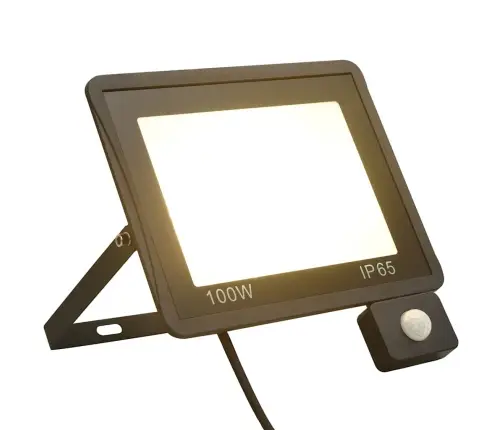 Led Prožektors Ar Sensoru, 100 W, Silti Balta Gaisma Vidaxl