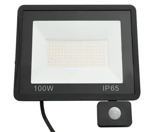 Led Prožektors Ar Sensoru, 100 W, Silti Balta Gaisma Vidaxl