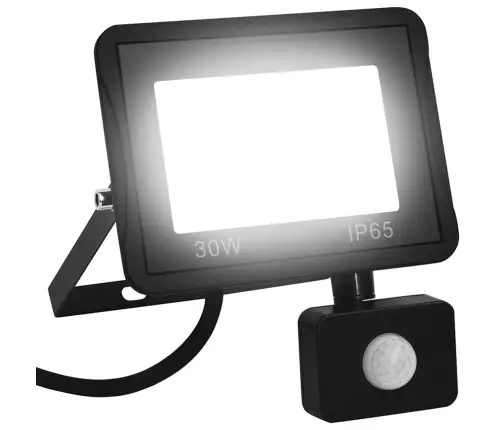 Anduriga Led Prožektor, 30 W, Külm Valge