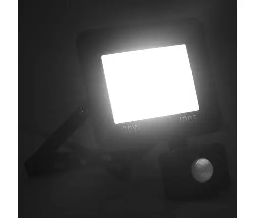 Anduriga Led Prožektor, 30 W, Külm Valge