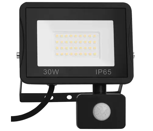 Anduriga Led Prožektor, 30 W, Külm Valge