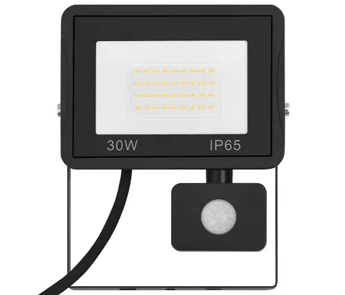 Anduriga Led Prožektor, 30 W, Külm Valge