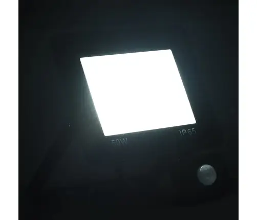 Led Prožektors Ar Sensoru, 50 W, Vēsi Balta Gaisma Vidaxl