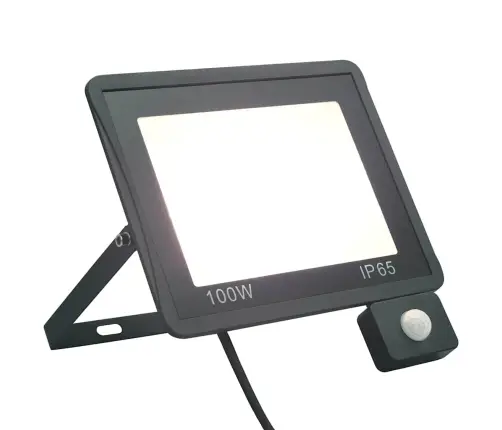 Led Prožektorius Su Jutikliu, Šaltos Baltos Spalvos, 100W