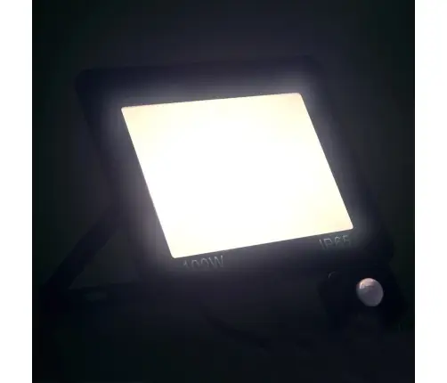 Led Prožektorius Su Jutikliu, Šaltos Baltos Spalvos, 100W
