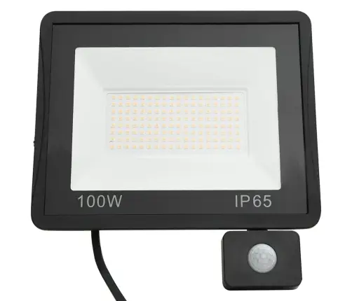 Led Prožektorius Su Jutikliu, Šaltos Baltos Spalvos, 100W