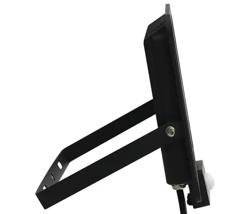 Led Prožektorius Su Jutikliu, Šaltos Baltos Spalvos, 100W