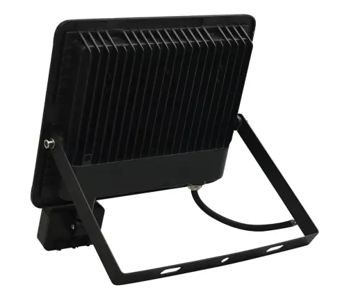 Led Prožektorius Su Jutikliu, Šaltos Baltos Spalvos, 100W