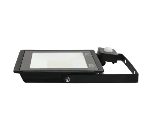 Led Prožektorius Su Jutikliu, Šaltos Baltos Spalvos, 100W