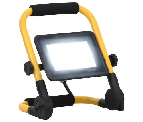 Led Prožektorius Su Rankena, Šaltos Baltos Spalvos, 30W