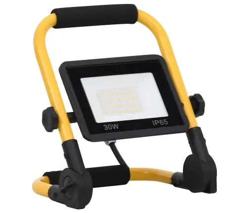 Led Prožektorius Su Rankena, Šaltos Baltos Spalvos, 30W