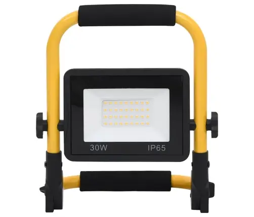 Led Prožektorius Su Rankena, Šaltos Baltos Spalvos, 30W