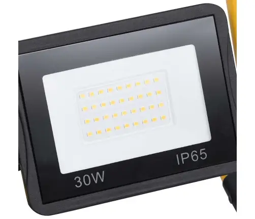 Led Prožektorius Su Rankena, Šaltos Baltos Spalvos, 30W