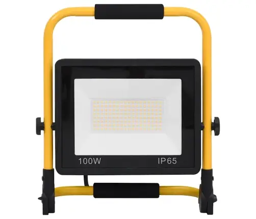 Led Prožektorius Su Rankena, Šaltos Baltos Spalvos, 100W