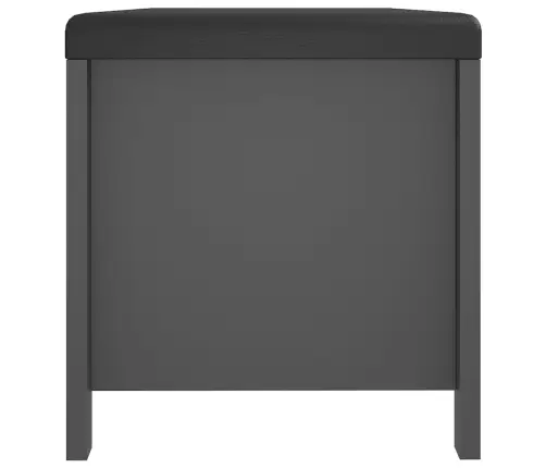 Daiktadėžė Su Pagalvėle, Pilka, 105X40X45cm Apdirbta Mediena