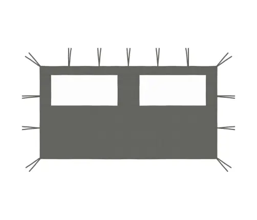 Lehtla Külgsein Akendega 4 X 2 M Antratsiit