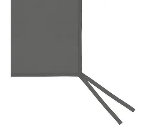 Lehtla Külgsein Akendega 4 X 2 M Antratsiit