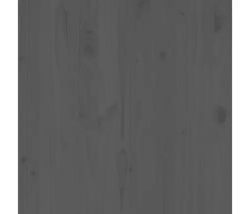 Sodo Poilsio Baldų Komplektas, 2 Dalių, Pilkas, Pušies Masyvas