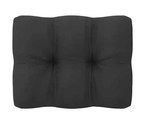 Keskmine Aiadiivani Osa Antratsiithallid Padjad, Männipuit