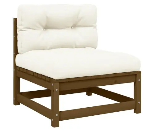 Vidurinė Sodo Sofos Dalis Su Kreminėmis Pagalvėlėmis, Pušis