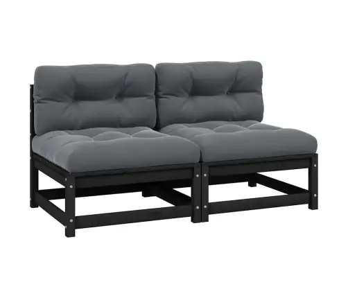 Aia Keskmised Diivanid, Antratsiithallid Padjad 2 Tk, Männipuit