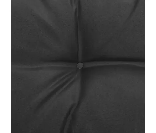 Aia Keskmised Diivanid, Antratsiithallid Padjad 2 Tk, Männipuit