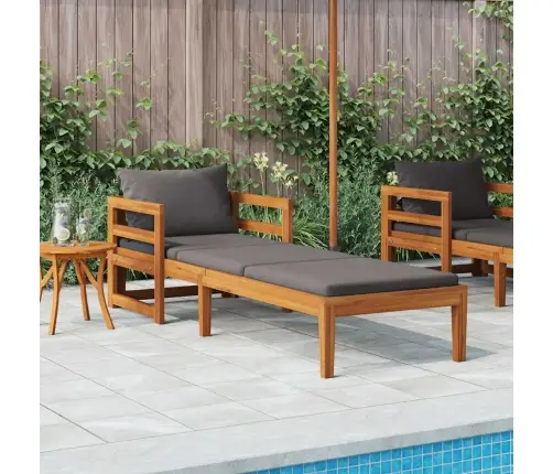 Sauļošanās Zvilnis Ar Pelēkiem Matračiem, Akācijas Masīvkoks Vidaxl