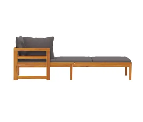 Sauļošanās Zvilnis Ar 1 Roku Balstu, Pelēki Matrači, Akācija Vidaxl