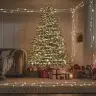 Led Lampiņu Virtene Ar 300 Led, Silti Balta, 30 M Vidaxl