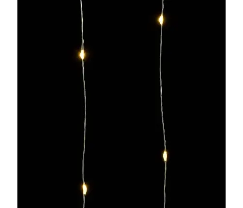 Led Lampiņu Virtene Ar 300 Led, Silti Balta, 30 M Vidaxl