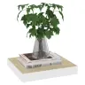 Sienas Plaukti, 4 Gab., Balti, Ozolkoka, 23X23,5X3,8 Cm, Mdf Vidaxl