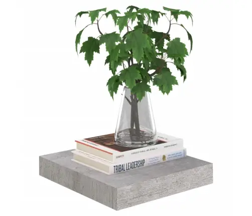 Pakabinamos Lentynos, 4Vnt., Betono Pilkos, 23X23,5X3,8cm Mdf