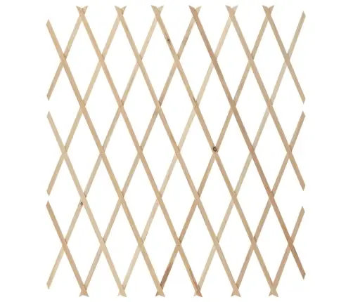 Špaleru Žogi, 5 Gab., 180X80 Cm, Egles Masīvkoks  Vidaxl