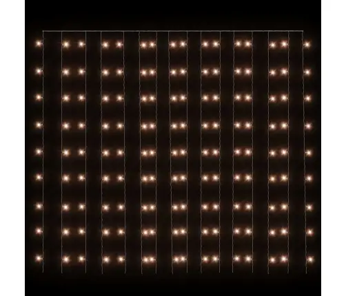 Led Lampiņu Aizkars, 3X3 M, 300 Led, Silti Balts, 8 Funkcijas Vidaxl