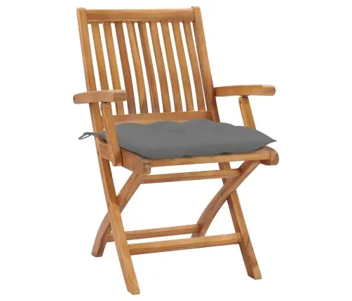 Sulankstomos Sodo Kėdės Su Pagalvėlėmis, 8Vnt., Tikmedis