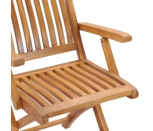 Kokkupandavad Aiatoolid Patjadega, 8 Tk, Tiikpuu