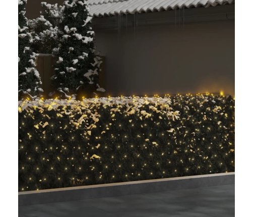 Ziemassvētku Lampiņu Tīkls, 3X2 M, 204 Silti Baltas Led Vidaxl