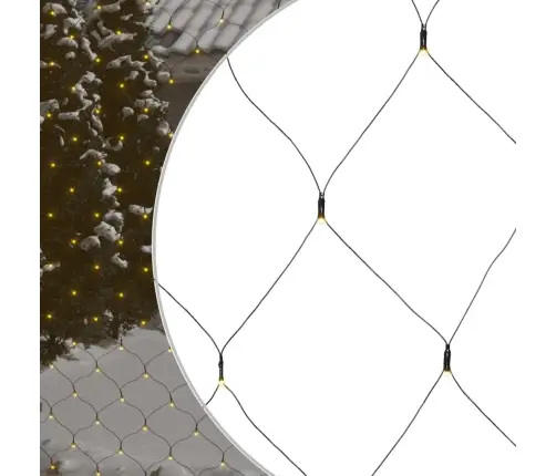 Kalėdinių Lempučių Tinklas, 3X2M, 204 Šiltos Baltos Led