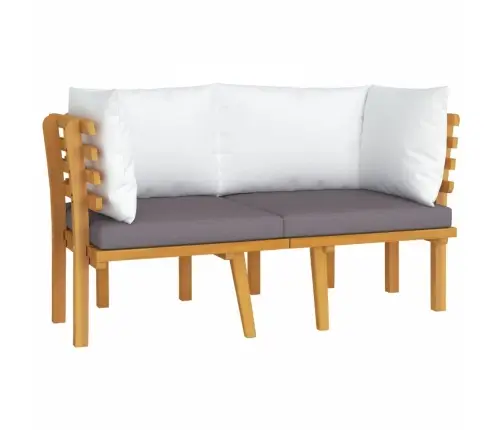 Divvietīgs Dārza Dīvāns Ar Spilveniem, Akācijas Masīvkoks Vidaxl