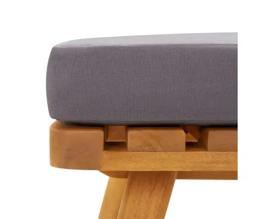 Divvietīgs Dārza Dīvāns Ar Spilveniem, Akācijas Masīvkoks Vidaxl