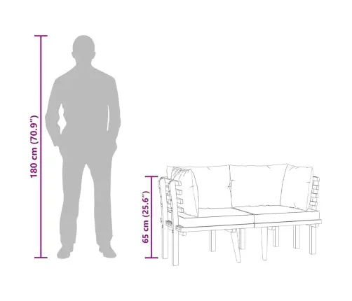 Divvietīgs Dārza Dīvāns Ar Spilveniem, Akācijas Masīvkoks Vidaxl