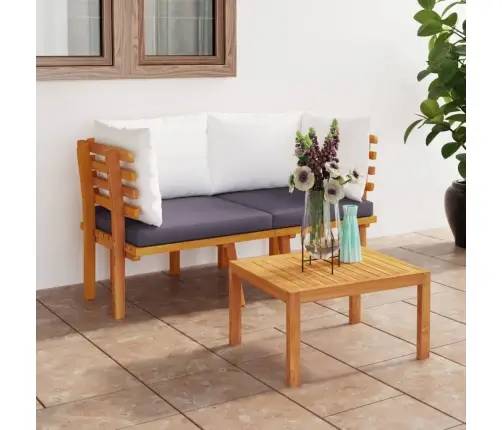 Divvietīgs Dārza Dīvāns Ar Spilveniem, Akācijas Masīvkoks Vidaxl