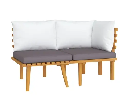 2-Osaline Aiadiivani Komplekt Patjadega, Akaatsiapuit