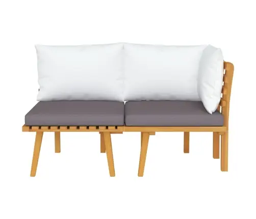 2-Osaline Aiadiivani Komplekt Patjadega, Akaatsiapuit