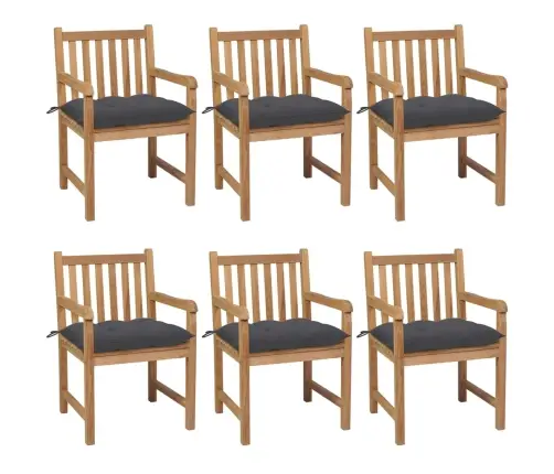 Aiatoolid, 6 Tk, Antratsiithallide Istmepatjadega, Tiikpuu