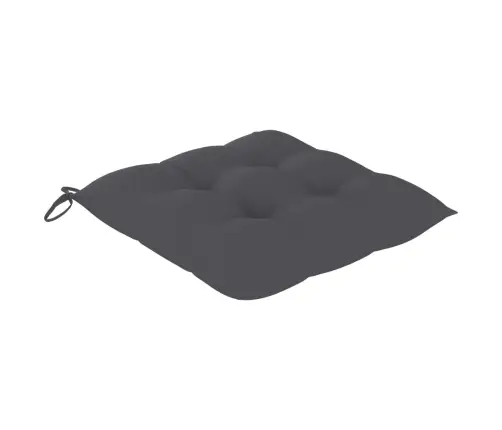 Aiatoolid, 6 Tk, Antratsiithallide Istmepatjadega, Tiikpuu