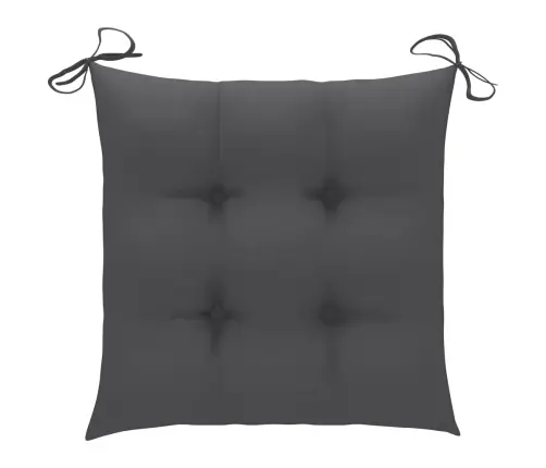 Aiatoolid, 6 Tk, Antratsiithallide Istmepatjadega, Tiikpuu