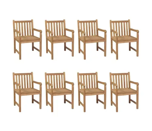 Aiatoolid 8 Tk, Antratsiithallide Patjadega, Tiikpuu